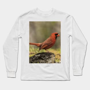 Male Northern Cardinal Long Sleeve T-Shirt